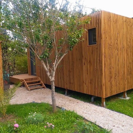 La Cabane Du Figuier A Rambouillet Eksteriør billede